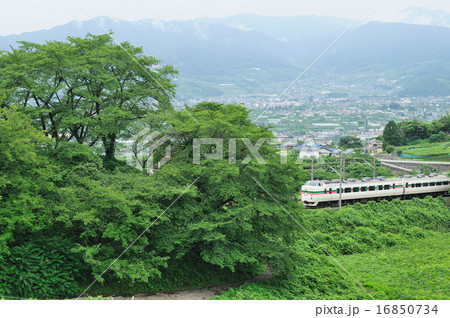 山梨県甲州市の深緑を行くJR中央線臨時特急189系あずさ号 16850734