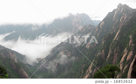 中国の名山　黄山 16852632