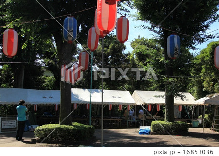 納涼祭 16853036