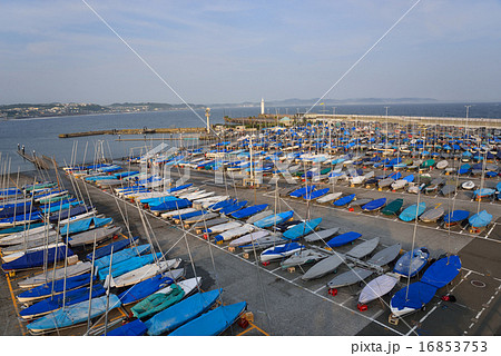 東京五輪セーリング会場の景色 東京五輪セーリング会場の景色 16853753
