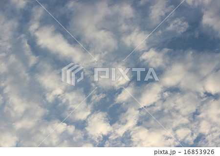 空 空 16853926