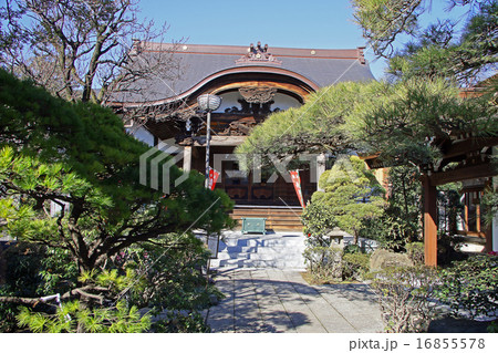 蓮華寺 蓮華寺 16855578