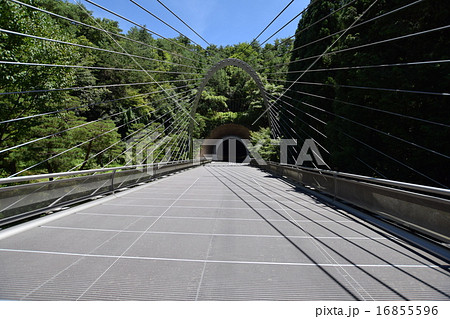 MIHO MUSEUM 16855596