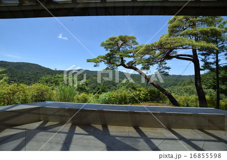 MIHO MUSEUM MIHO MUSEUM 16855598