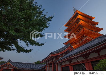 浅草寺の五重塔 浅草寺の五重塔 16856395