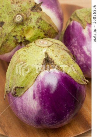 ナス　トンダ・ビアンカ 16856536