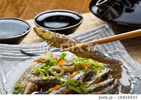 きびなごの南蛮漬け 16856935