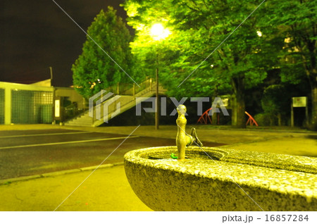 夜の公園 夜の公園 16857284