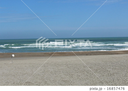 赤羽根の海岸 赤羽根の海岸 16857476