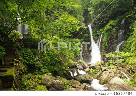 裏見の滝 裏見の滝 16857484