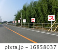 スピードを落として交通安全でいきましょう 16858037