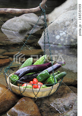 小川で冷やす夏野菜 16858499