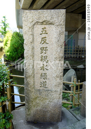 五反野親水緑道の道標（東京都足立区） 16858549