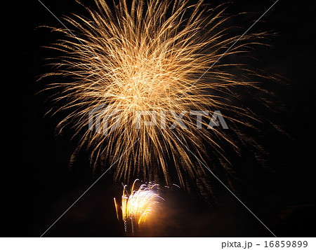 青梅花火大会 青梅花火大会 16859899