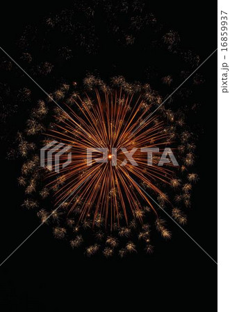 青梅花火大会 青梅花火大会 16859937