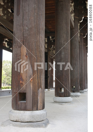 京都「東福寺」：三門の列柱 16860088