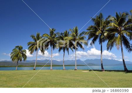 ポートダグラス、グレートバリアリーフ、、クィーンズランド、オーストラリア-3 16860390