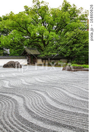 承天寺の洗濤庭 承天寺の洗濤庭 16860626