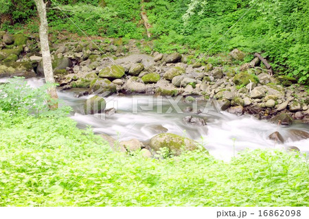 信州白骨温泉の山の中を流れる、湯川の美しく清らかな流れ 16862098
