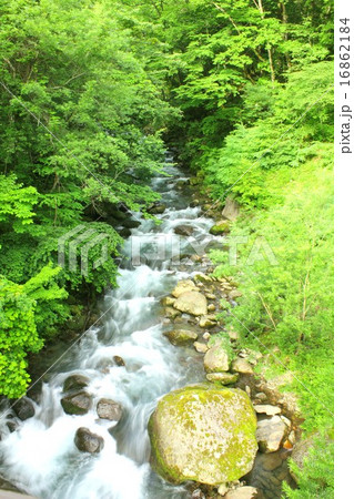 信州白骨温泉の山の中を流れる、湯川の美しく清らかな流れ 16862184