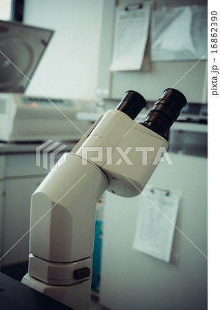 Grilled trout, rosemary potatoes, green asparagus 16862390