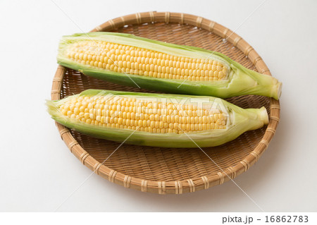 とうもろこし 16862783