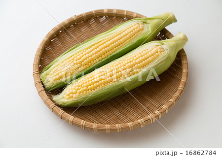 とうもろこし 16862784
