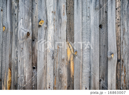 Wood texture Wood texture 16863007