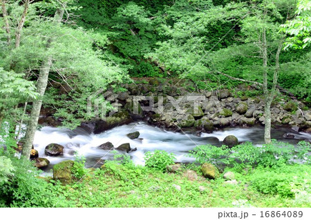 信州白骨温泉の山の中を流れる、湯川の美しく清らかな流れ 16864089