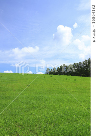 北海道 美瑛町 草原と雲 北海道 美瑛町 草原と雲 16864132