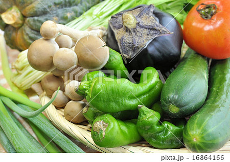 夏野菜集合 16864166