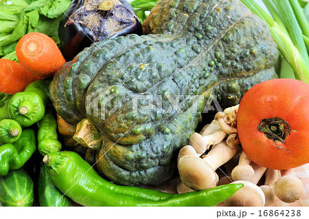 京野菜集合 16864238