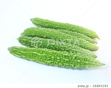 植物 ゴーヤー 白バック 料理 植物 ゴーヤー 白バック 料理 16864293