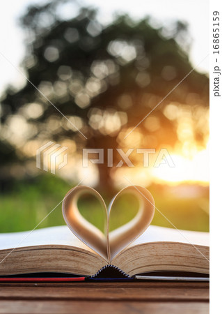 Close up book on table in sunset time 16865159