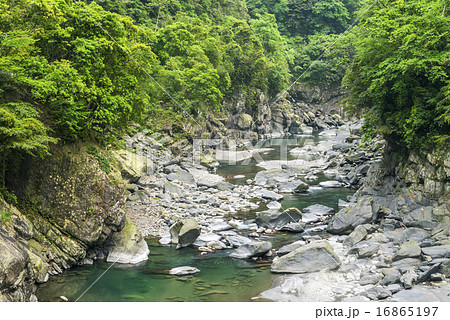 川床 河床 河底 16865197