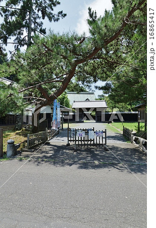 静岡県観光スポット・2015年7月韮山反射炉世界遺産登録決定直後の青い祝幟のある江川邸正面・縦位置 16865417