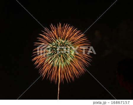 夜空に咲く一輪の花火 夜空に咲く一輪の花火 16867157