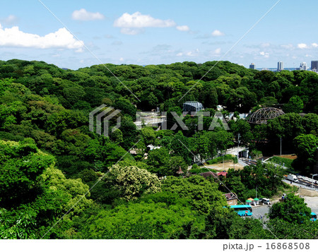 福岡市 福岡市 16868508