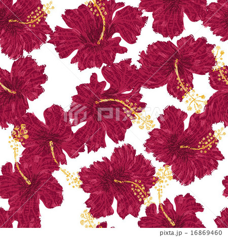 Hibiscus flowers endless ornament 16869460