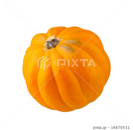 Orange pumpkin  16870531
