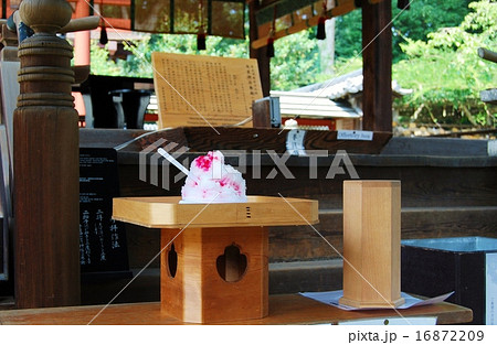 氷室神社のかき氷奉納 16872209