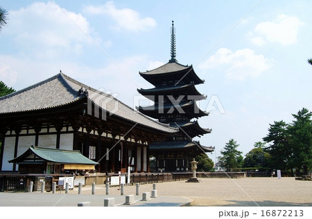 興福寺の東金堂と五重塔 16872213