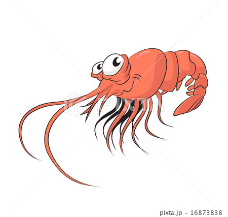Shrimp 16873838