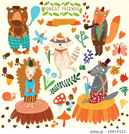Vector Set of Cute Woodland and Forest Animals. Vector Set of Cute Woodland and Forest Animals. 16874323