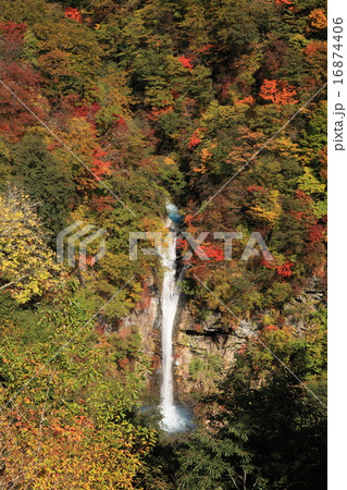 駒止の滝と紅葉 16874406