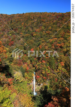 駒止の滝と紅葉 駒止の滝と紅葉 16874407