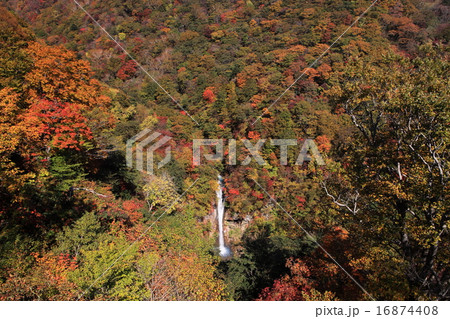 駒止の滝と紅葉 16874408