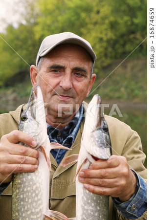 old fisherman and his catch - two pikes 16874659