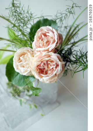 バラ バラ 16876039