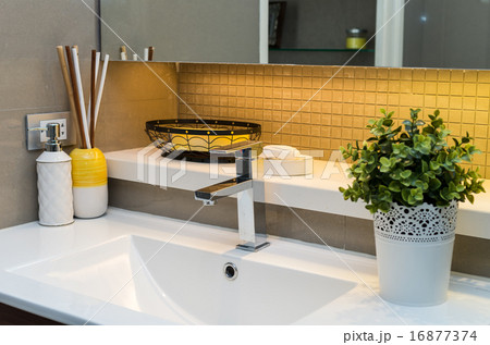 Luxury Interior bathtoom 16877374